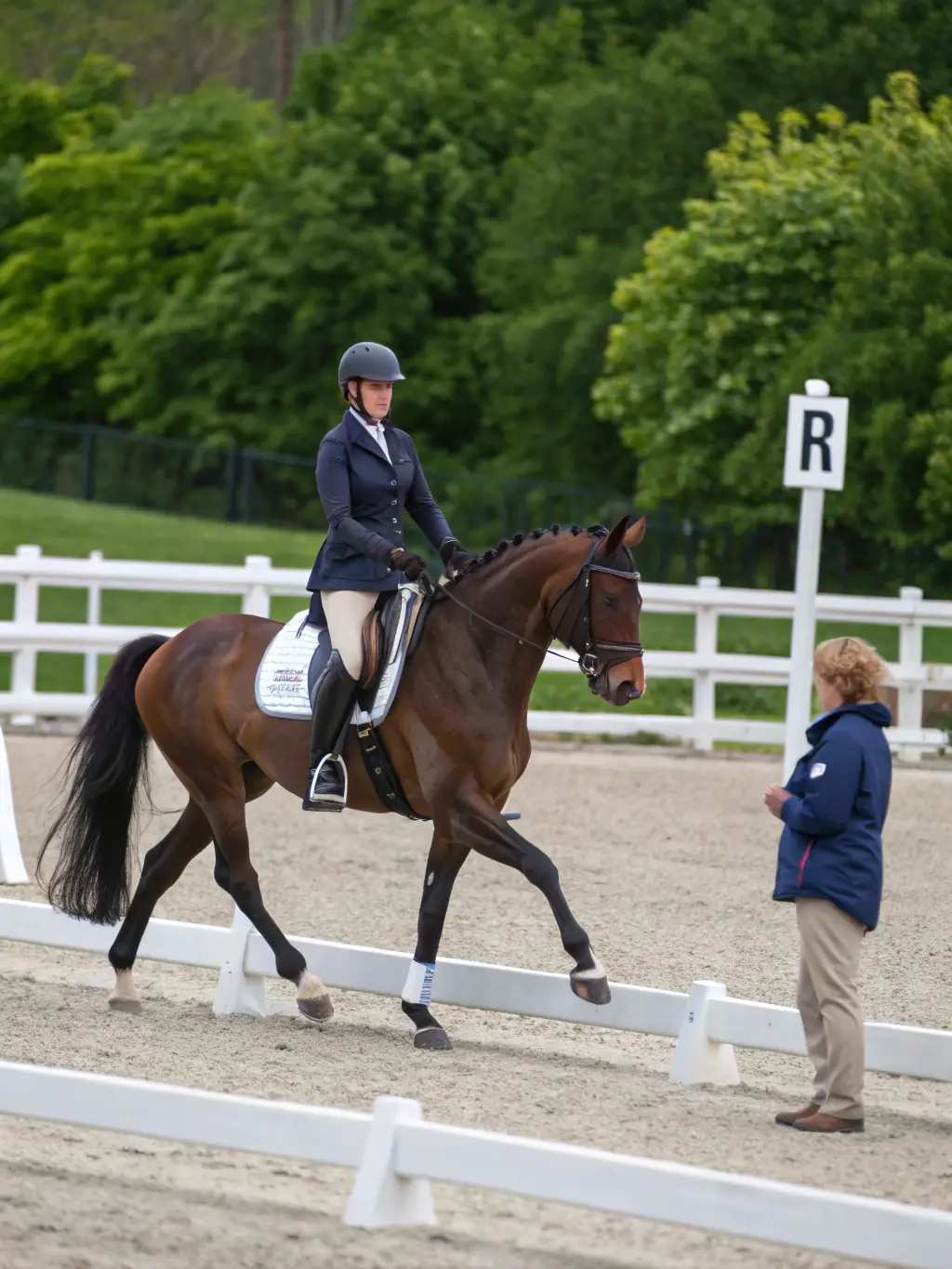 A skilled instructor demonstrating proper carriage driving techniques to a student, highlighting the precision and control involved in this equestrian discipline.